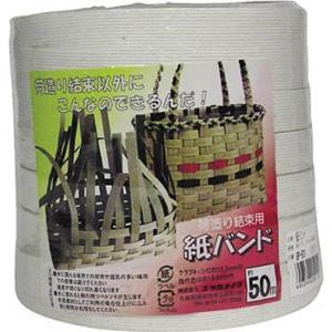 ���o���h ���^�J���C�N BP501