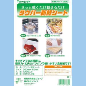 �^�E�p�[�V�N�V�[�g �g���C�t�i�� ���C���H���j 300mm�~410mm