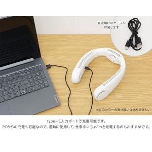 iFan Collar Plus2 アイファン...の詳細画像4
