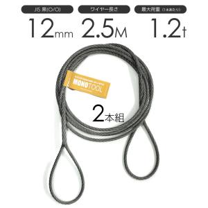 玉掛けワイヤーロープ 2本組 両アイロック加工 黒(O/O) 6mmx2m JIS