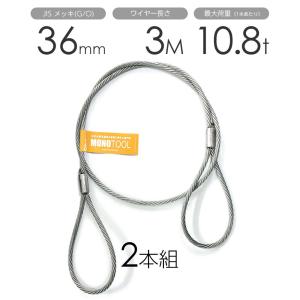 ワイヤーロープ　加工品 　2本セット monotool_1420100500-2