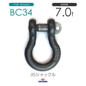 ステンレスシャックル5.4t 2個