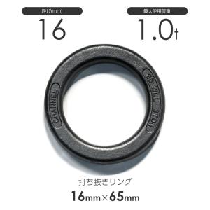 大洋 TAIYOステンレス重量フック バネ付 使用荷重0.35T : 道具屋.com