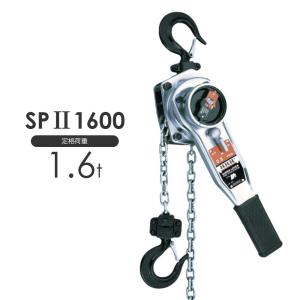 象印チェンブロック スーパー100 チェーンブロック H型 H-1 1t 標準 
