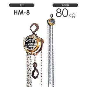 鈴木　メダルオーバル　ロールチェーン20インチセット 鈴木 メダルオーバル ロールチェーン20インチセット 鈴木 メダル