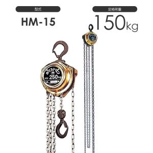 揚程長さのカスタムOK!! 象印 ホイストマン HM-38 定格荷重380kg 