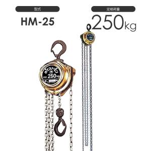 揚程長さのカスタムOK!! 象印 ホイストマン HM-15 定格荷重150kg