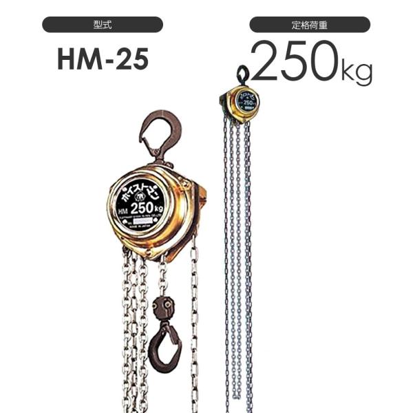 揚程長さのカスタムOK!!  象印 ホイストマン HM-25 定格荷重250kg チェーンブロック ...