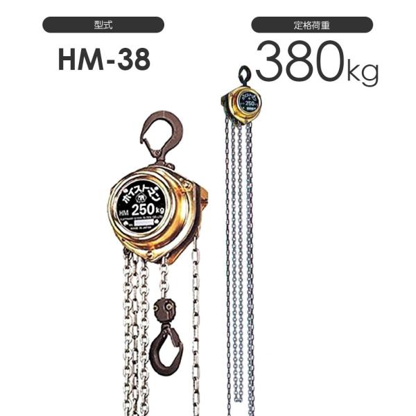 揚程長さのカスタムOK!!  象印 ホイストマン HM-38 定格荷重380kg チェーンブロック ...