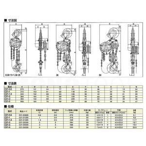 揚程長さカスタムできる! 象印C21型 チェー...の詳細画像2