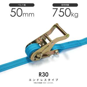 ラッシングベルト ラチェットバックル式新品未使用2本セット 日本製 ラチェットバックル式 R30K 50mm 750kg ラッシングベルト 両端