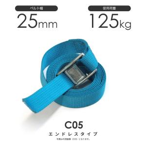 日本製 カムバックル式 C03N 25mm 75kg ラッシングベルト エンドレス