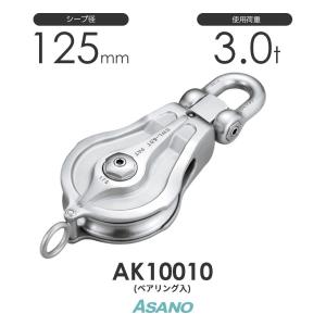 AK10010 強力ブロックPB型(ベアリング入) ASANO ステンレス滑車｜monotool