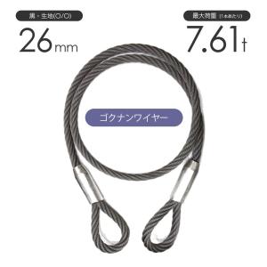 国産品　ケーブルレイドロープ　2本セット ゴクナンワイヤー 18mm 黒(O/O) 両アイロック加工 加工販売 ワイヤー
