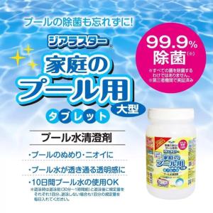 期間限定特価 ジアラスター プール水清澄剤 タ...の詳細画像1