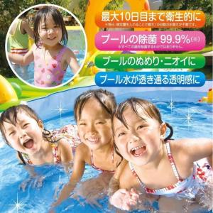 期間限定特価 ジアラスター プール水清澄剤 タ...の詳細画像3