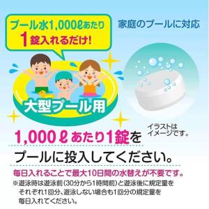 期間限定特価 ジアラスター プール水清澄剤 タ...の詳細画像4