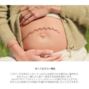 バガブー フォックス5リニュー オールテレーン...の詳細画像2