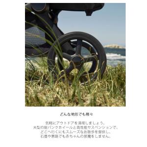 バガブー フォックス5リニュー オールテレーン...の詳細画像3