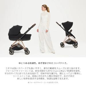 ミオス スタイル カーシートアダプター+レイン...の詳細画像5