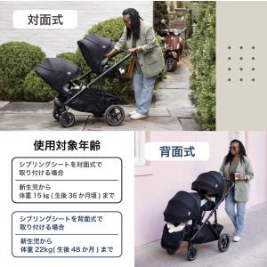 Joie ジョイー バーシティ 2人乗りベビー...の詳細画像3