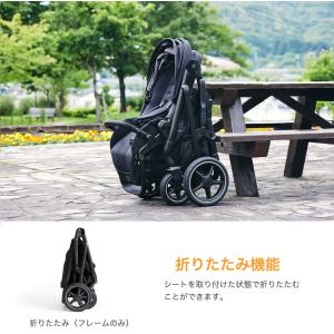 Joie ジョイー バーシティ 2人乗りベビー...の詳細画像4