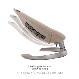 nuna リーフグロウ トイバー付き ベビーバ...の詳細画像4