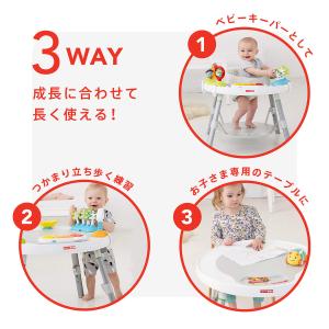 スキップホップ 3ステージ アクティビティセン...の詳細画像3