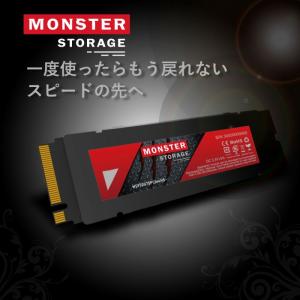 Monster Storage 1TB NVM...の詳細画像1