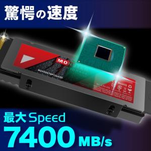 Monster Storage 1TB NVM...の詳細画像3