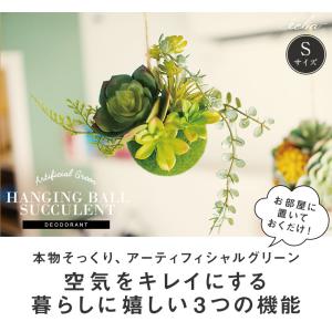 CT触媒 吊り下げボール Sサイズ ハンギング...の詳細画像3