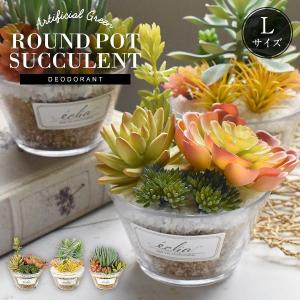人工観葉植物 多肉植物のガラスポット 男前インテリアを演出 造花 ミニ