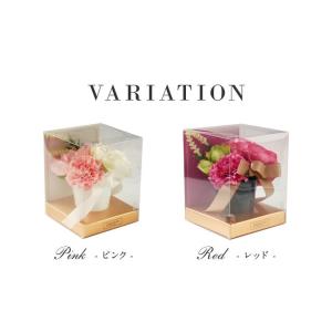 CT触媒 カーネーションポット(S) ラッピン...の詳細画像1