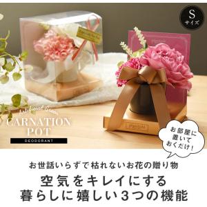 CT触媒 カーネーションポット(S) ラッピン...の詳細画像3