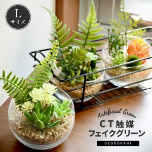 CT触媒 テラリウム ガラスポット 寄せ植え Lサイズ 多肉植物 サボテン フェイクグリーン インテリアグリーン 観葉植物 抗菌 消臭 防汚 造花人工 ギフト FG1434
