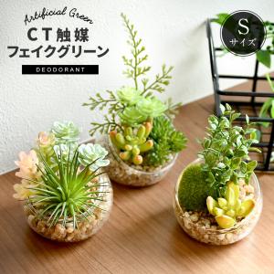 CT触媒 テラリウム ガラスポット 寄せ植え Sサイズ 多肉植物 サボテン フェイクグリーン インテリアグリーン 観葉植物 抗菌 消臭 防汚 人工 ギフト FG1434