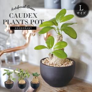 CT触媒 コーデックスL 塊根植物 多肉植物 おしゃれ フェイクグリーン インテリアグリーン 観葉植物 造花 消臭 抗菌 人工観葉植物 ギフト プレゼント FG166-L