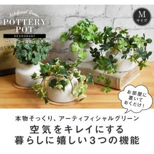 CT触媒 フェイクグリーン 陶器鉢(M) コル...の詳細画像2