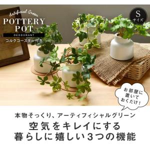 CT触媒 フェイクグリーン 陶器鉢(S) コル...の詳細画像2