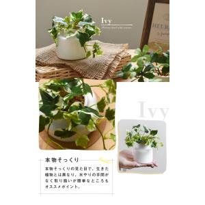 CT触媒 フェイクグリーン 陶器鉢(S) コル...の詳細画像5