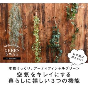 CT触媒 フェイクグリーン フック付きグリーン...の詳細画像2