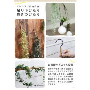 CT触媒 フェイクグリーン フック付きグリーン...の詳細画像5