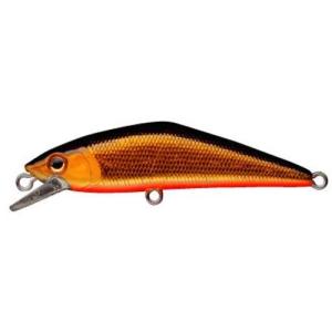 SMITH（スミス） Dコンタクト 72/ スミス D-CONTACT 72 NEWカラー