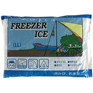 アイスジャパン 保冷剤 フリーザーアイス 1000gの商品画像