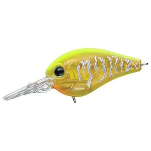 エバーグリーン ピッコロ #67 フラッシュチャート