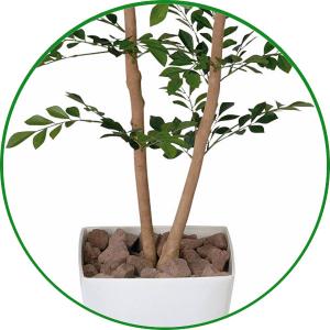 人工観葉植物 フェイクグリーン 光触媒 観葉植...の詳細画像2