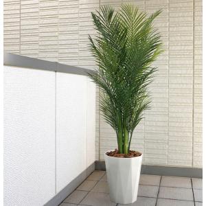 光触媒 観葉植物 フェイクグリーン 人工観葉植物...の商品画像
