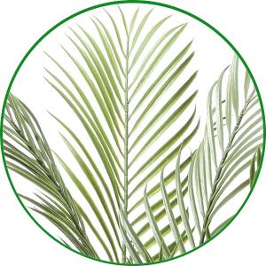 光触媒 観葉植物 フェイクグリーン 人工観葉植...の詳細画像3