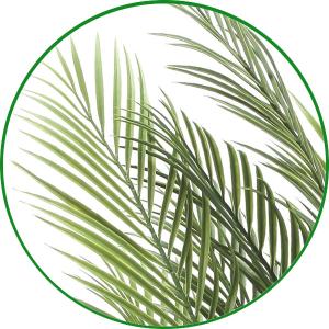 光触媒 観葉植物 フェイクグリーン 人工観葉植...の詳細画像4