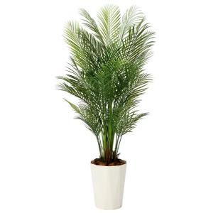 光触媒 観葉植物 フェイクグリーン 人工観葉植...の詳細画像2